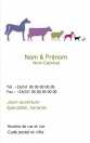 Modèle Carte de visite verticale  vétérinaire pour soin animaux, clinique animale à personnaliser en ligne avec modèle gratuit