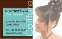 Modèle Carte de visite  coiffure pour salon de coiffure - couleurs : vert et marron à personnaliser en ligne avec modèle gratuit