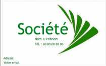 Modèle Carte de visite  green business pour écolo, green business à personnaliser en ligne avec modèle gratuit