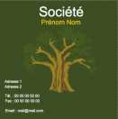 Modèle carte de visite carrée  green business pour green business à personnaliser en ligne avec modèle gratuit