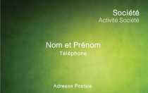 Modèle Carte de visite  professionnel pour professionnelle, petite entreprise, conseil, mod. vert à personnaliser en ligne avec modèle gratuit