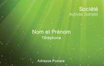 Modèle Carte de visite  professionnel pour professionnelle, petite entreprise, conseil, mod. vert à personnaliser en ligne avec modèle gratuit