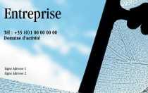 Modèle Carte de visite  nettoyage et entretien pour société de nettoyage, entretien, ménage, sol à personnaliser en ligne avec modèle gratuit