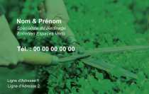 Modèle Carte de visite  espace vert pour jardin, espace vert, taille-haie à personnaliser en ligne avec modèle gratuit