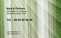 Modèle Carte de visite  espace vert pour jardin, espace vert, taille-haie à personnaliser en ligne avec modèle gratuit